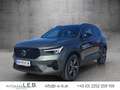 Volvo XC40 XC 40 B3 2WD Plus Dark (EURO 6e) Grün - thumbnail 6