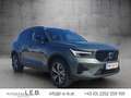 Volvo XC40 XC 40 B3 2WD Plus Dark (EURO 6e) Grün - thumbnail 3