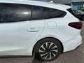 Ford Focus Turnier 1.5 EcoBlue Titanium X  Automatik Weiß - thumbnail 8
