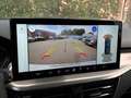 Ford Focus Turnier 1.5 EcoBlue Titanium X  Automatik Weiß - thumbnail 14