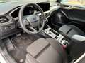 Ford Focus Turnier 1.5 EcoBlue Titanium X  Automatik Weiß - thumbnail 10