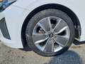 Hyundai IONIQ Ioniq 1.6 hybrid Style 6dct Bianco - thumbnail 6