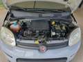 Fiat Panda Panda 1.0 FireFly S&S Hybrid Grigio - thumbnail 6