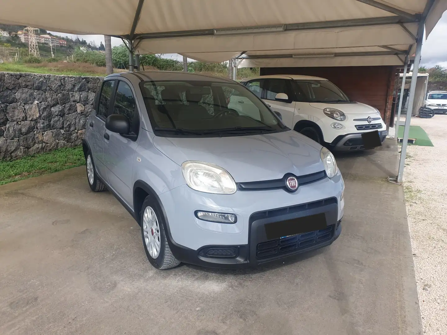 Fiat Panda Panda 1.0 FireFly S&S Hybrid Grigio - 1
