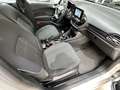 Ford Fiesta 1.0 EcoBoost S/S Trend+ 100 Grijs - thumbnail 13