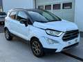 Ford EcoSport Ecosport 1.5 TDCi EcoBlue FWD Trend Wit - thumbnail 3