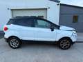 Ford EcoSport Ecosport 1.5 TDCi EcoBlue FWD Trend Wit - thumbnail 7