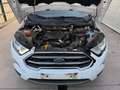 Ford EcoSport Ecosport 1.5 TDCi EcoBlue FWD Trend Wit - thumbnail 10