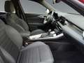 Alfa Romeo Tonale 1.6 Sprint 130cv tct6 Rosso - thumbnail 14