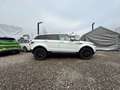 Land Rover Range Rover Evoque Range Rover Evoque Dynamic 2,2 SD4 Aut. Dynamic Weiß - thumbnail 6