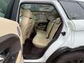 Land Rover Range Rover Evoque Range Rover Evoque Dynamic 2,2 SD4 Aut. Dynamic Weiß - thumbnail 18