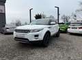 Land Rover Range Rover Evoque Range Rover Evoque Dynamic 2,2 SD4 Aut. Dynamic Weiß - thumbnail 8