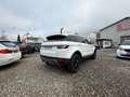 Land Rover Range Rover Evoque Range Rover Evoque Dynamic 2,2 SD4 Aut. Dynamic Weiß - thumbnail 5