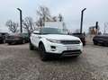 Land Rover Range Rover Evoque Range Rover Evoque Dynamic 2,2 SD4 Aut. Dynamic Weiß - thumbnail 1