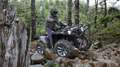 Yamaha Grizzly 700 EPS XT-R 2025 - T3b Strassenzulassung möglich Negro - thumbnail 13