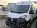 Fiat Ducato Business Van 35 Maxi L2H2 150 - thumbnail 2