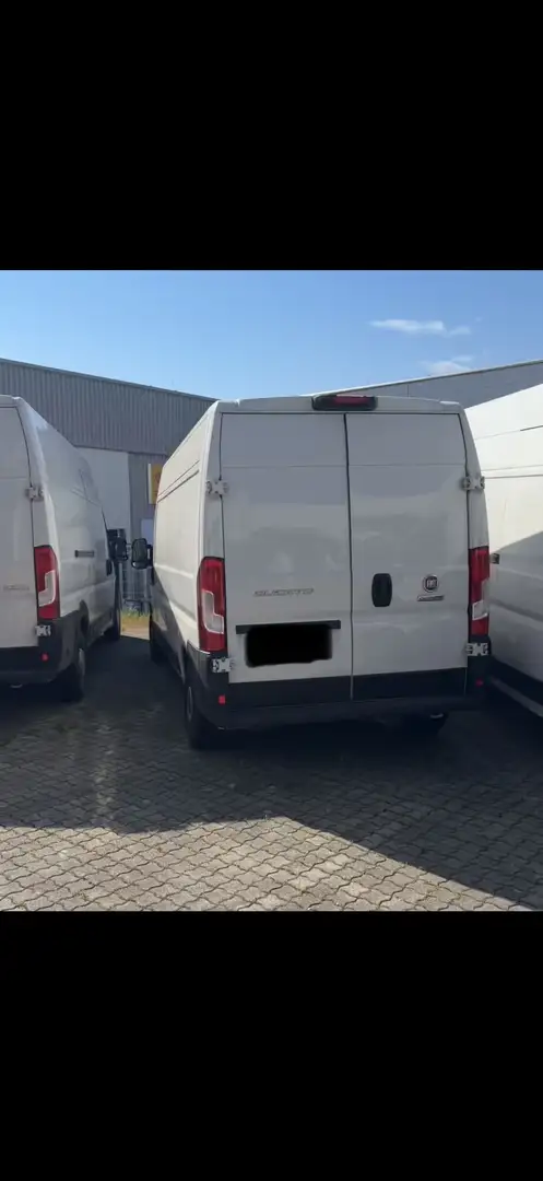 Fiat Ducato Business Van 35 Maxi L2H2 150 - 1