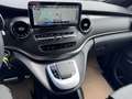 Mercedes-Benz V 250 d EDITION 4MATIC AMG DISTRONIC AHK Tisch Blau - thumbnail 12