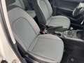 SEAT Arona 1.0 tgi Xcellence 90cv Bianco - thumbnail 10