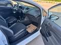 Ford Fiesta Celebration Weiß - thumbnail 22