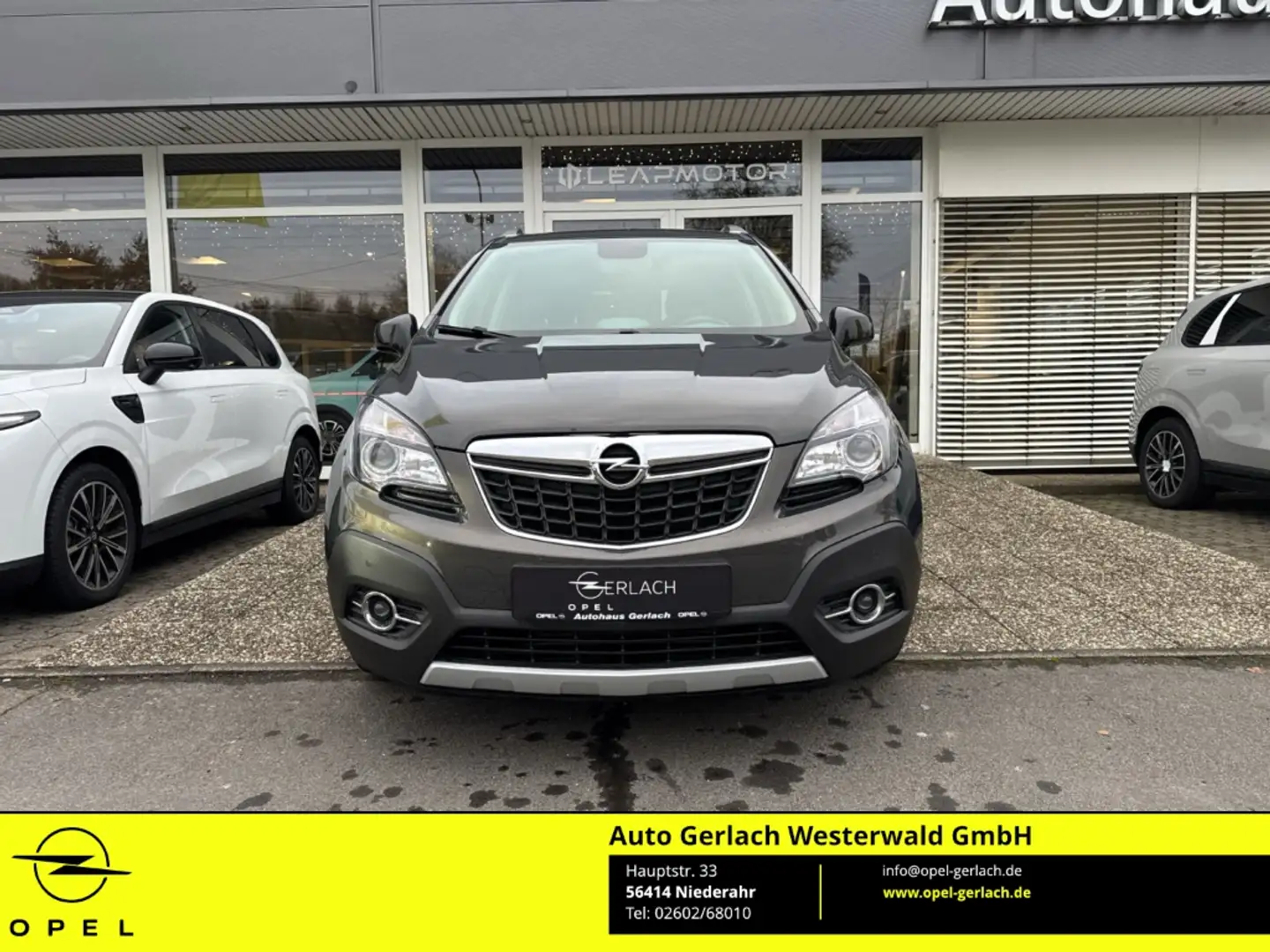 Opel Mokka Color Innovation ecoFlex Bi-Xenon Kurvenlicht Mehr Сірий - 2