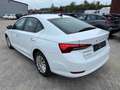 Skoda Octavia Lim. Ambition 2.0TDI DSG LED PDC Blanc - thumbnail 4