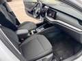 Skoda Octavia Lim. Ambition 2.0TDI DSG LED PDC Blanc - thumbnail 6