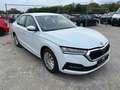 Skoda Octavia Lim. Ambition 2.0TDI DSG LED PDC Blanc - thumbnail 3
