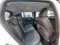 Jeep Avenger 1.2 100PS Altitude 18 Zoll Wit - thumbnail 12