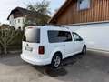 Volkswagen Caddy Maxi Austria 2.0TDI Weiß - thumbnail 8