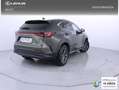 Lexus NX 350h Business 2WD Verde - thumbnail 24
