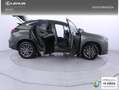 Lexus NX 350h Business 2WD Verde - thumbnail 27