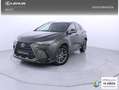 Lexus NX 350h Business 2WD Verde - thumbnail 1