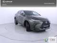 Lexus NX 350h Business 2WD Verde - thumbnail 25