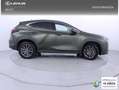 Lexus NX 350h Business 2WD Verde - thumbnail 23