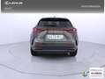 Lexus NX 350h Business 2WD Verde - thumbnail 4