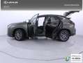 Lexus NX 350h Business 2WD Verde - thumbnail 26