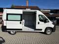 Fiat Ducato KASTENWAGEN 35 L2H2 140 MT 6E Белый - thumbnail 3