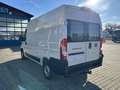 Fiat Ducato KASTENWAGEN 35 L2H2 140 MT 6E Белый - thumbnail 11