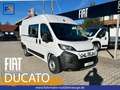 Fiat Ducato KASTENWAGEN 35 L2H2 140 MT 6E Белый - thumbnail 1
