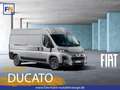 Fiat Ducato KASTENWAGEN 35 L2H2 140 MT 6E Blanc - thumbnail 1