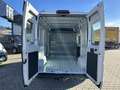 Fiat Ducato KASTENWAGEN 35 L2H2 140 MT 6E Белый - thumbnail 6