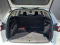 Skoda Enyaq Selection 85 Weiß - thumbnail 14