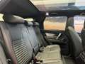 Land Rover Discovery Sport D200 R-Dynamic SE Winter Paket AHK Rot - thumbnail 6