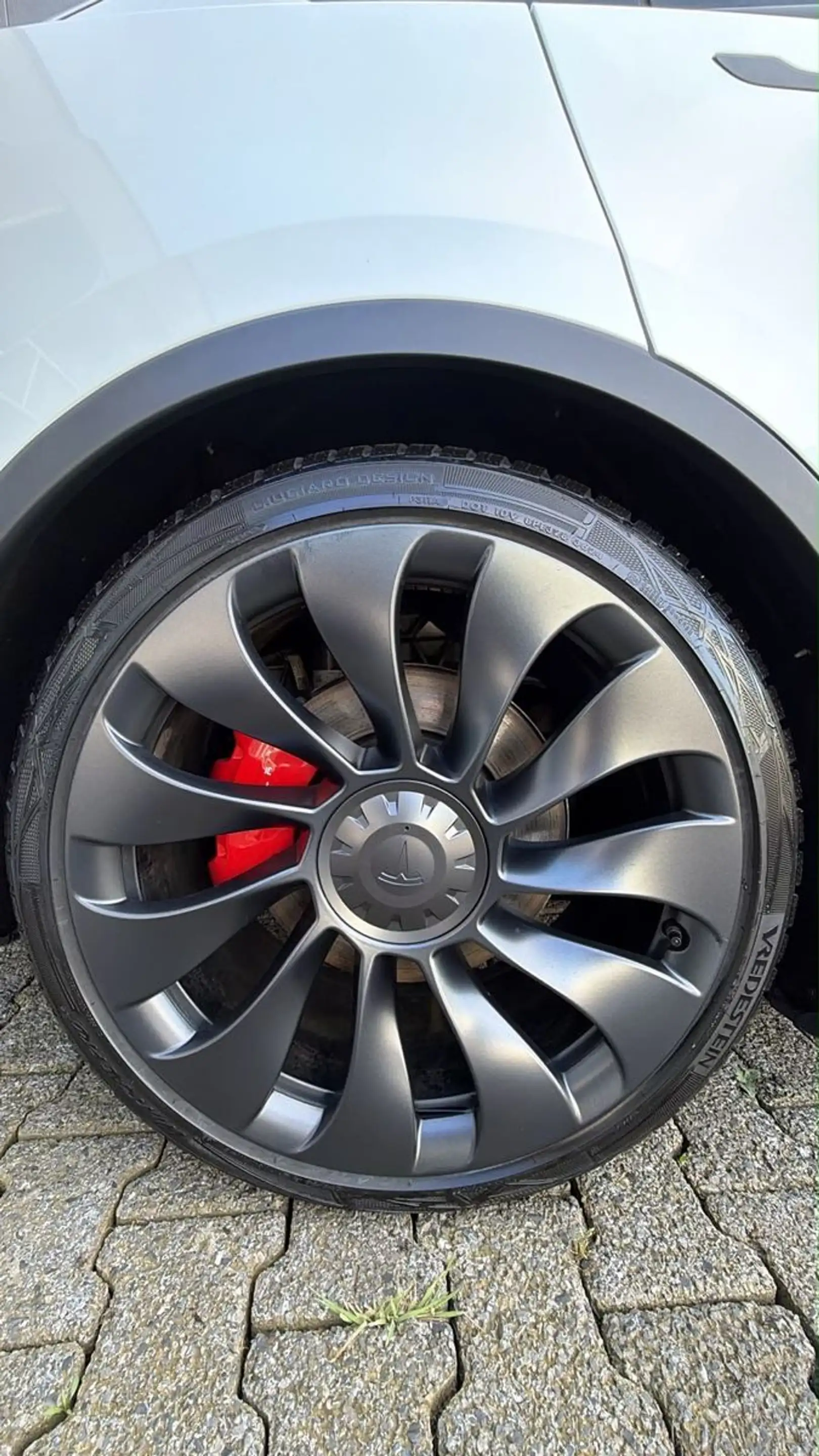 Tesla Model Y Performance Dual AWD — photo 13