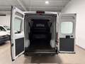 Fiat Ducato 35,Multicab(7-Si.),Maxi,Klima,Navi,AHK Weiß - thumbnail 5