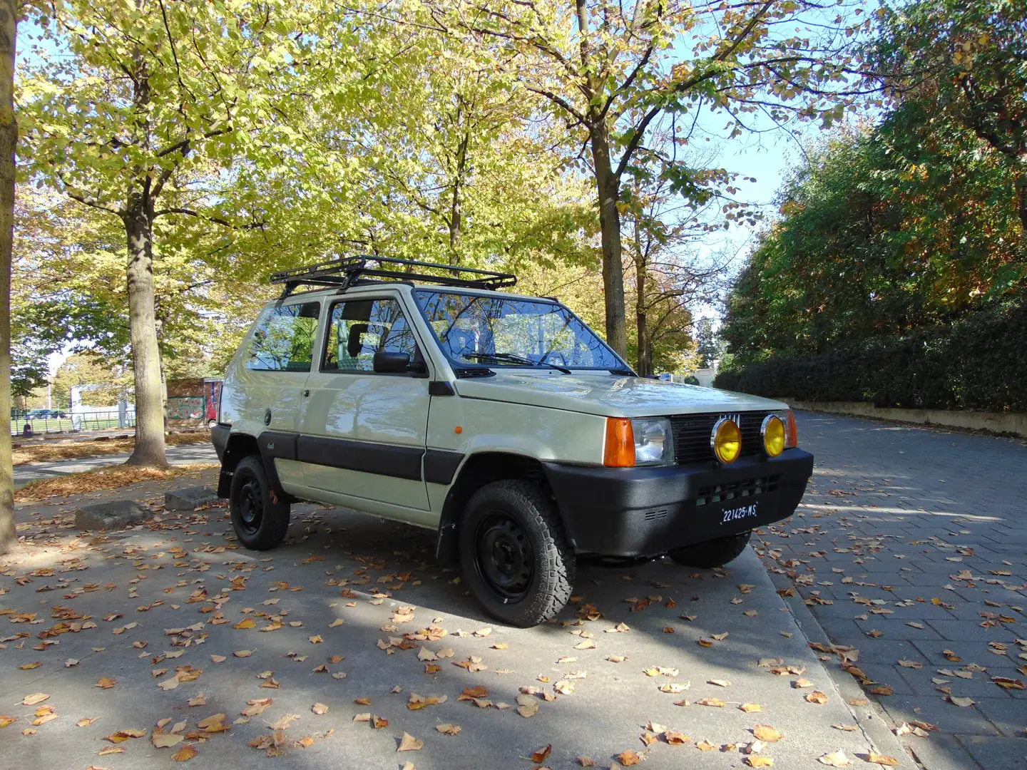 Fiat Panda Panda 1.0 4x4 my86 Vert - 1