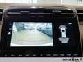 Hyundai TUCSON 1.6 hev Xline 2wd auto Bianco - thumbnail 15