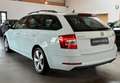 Skoda Octavia Combi 2.0 TDI DSG Ambition AHK/NAV/150PS Weiß - thumbnail 4