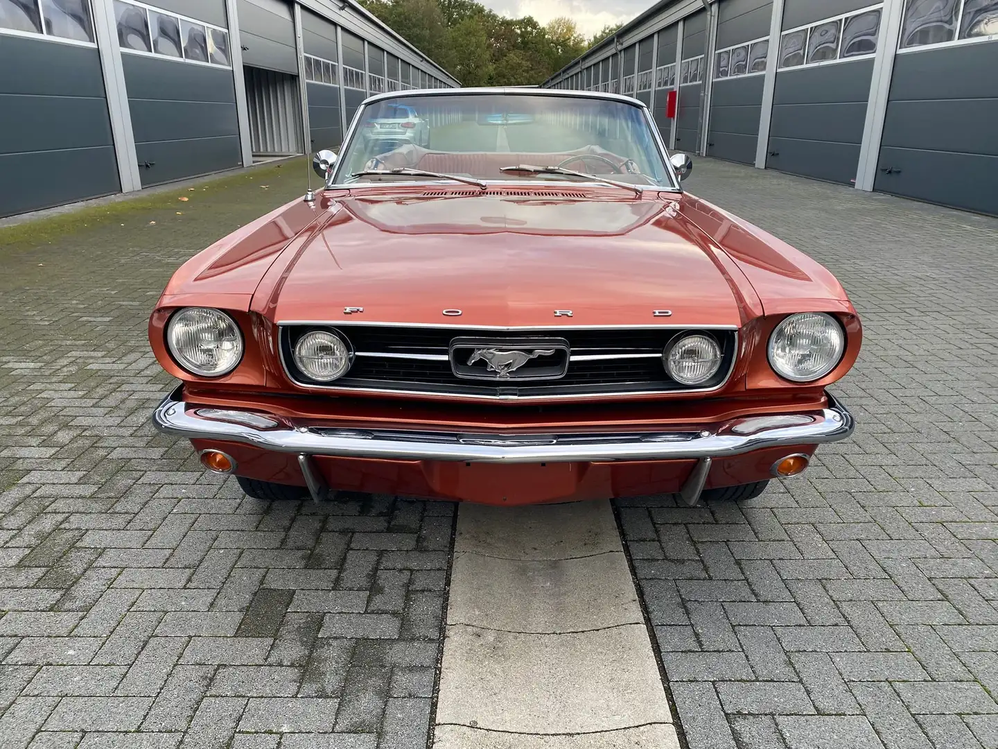 Ford Mustang GT Cabrio, echter GT, Top-Ausstattung, Rarität! Bronze - 2